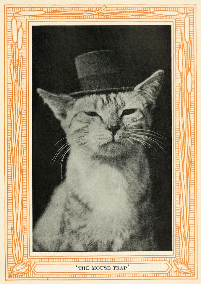 The Mouse Trap by Eulalie Osgood Grover. Image sourced from the Public Domain Image Archive -> Internet Archive -> New York Public Library From Kittens and Cats - a Book of Tales